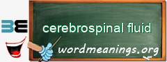 WordMeaning blackboard for cerebrospinal fluid